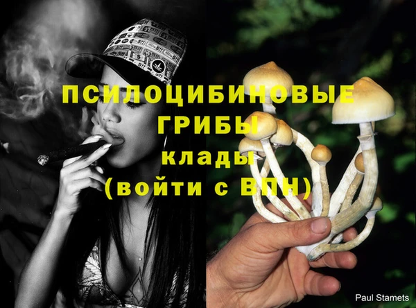 гашиш Арсеньев