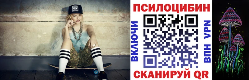 блэк спрут   Грайворон  Псилоцибиновые грибы мицелий  хочу наркоту 