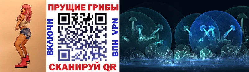 Псилоцибиновые грибы ЛСД Грайворон